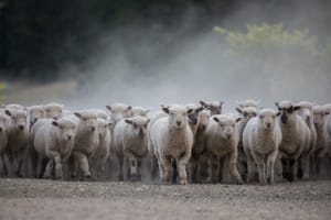 Weaning Time