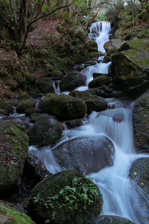 Henrys Falls