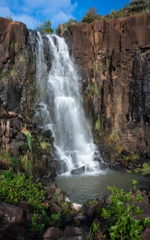 Te Henga