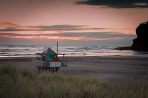 Bethells Baywatch