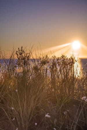 Whangamata Sunrise