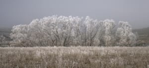 Frosty morning