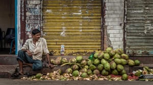 Coconuts in Delhi