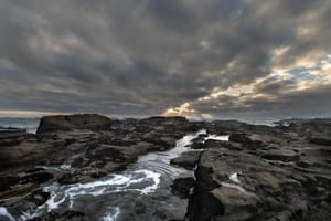 Waipapa Coast