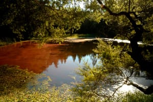 Chelsea Reserve Pond