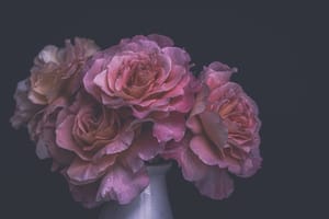 Vintage Roses