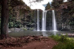 Whangarei Falls