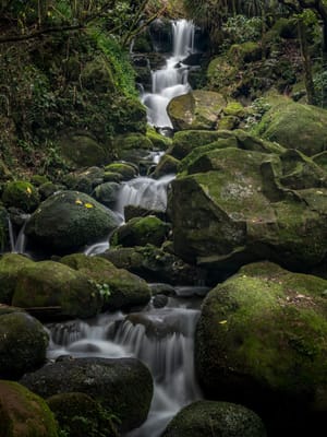 Chasing Waterfalls