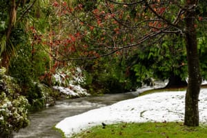 Queenstown Gardens