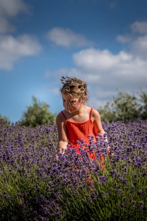 Olivia in the Lavender