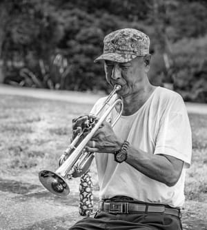 Music in the Park