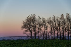 Blue hour in Manawatu