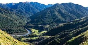 Waingawa River Valley