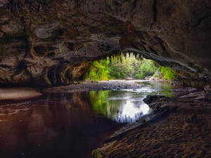 Oparara Arch, Karamea