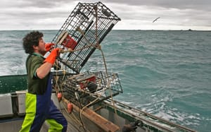 Palliser Bay