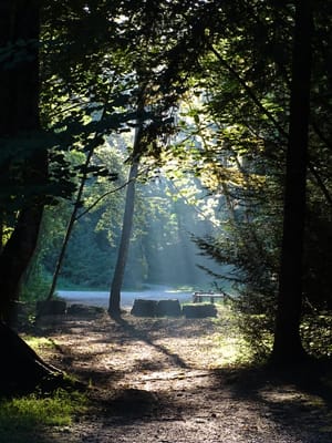 Morning light