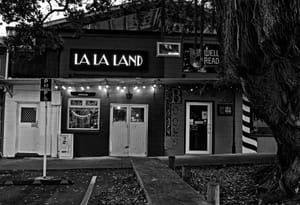 Raglan Lalaland still sleeping