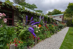 Summer colour in Cardrona