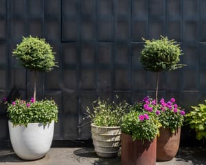 Flower pots